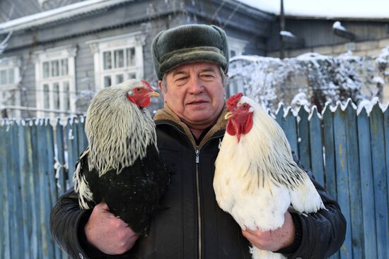 Музей Петуха в Петушках