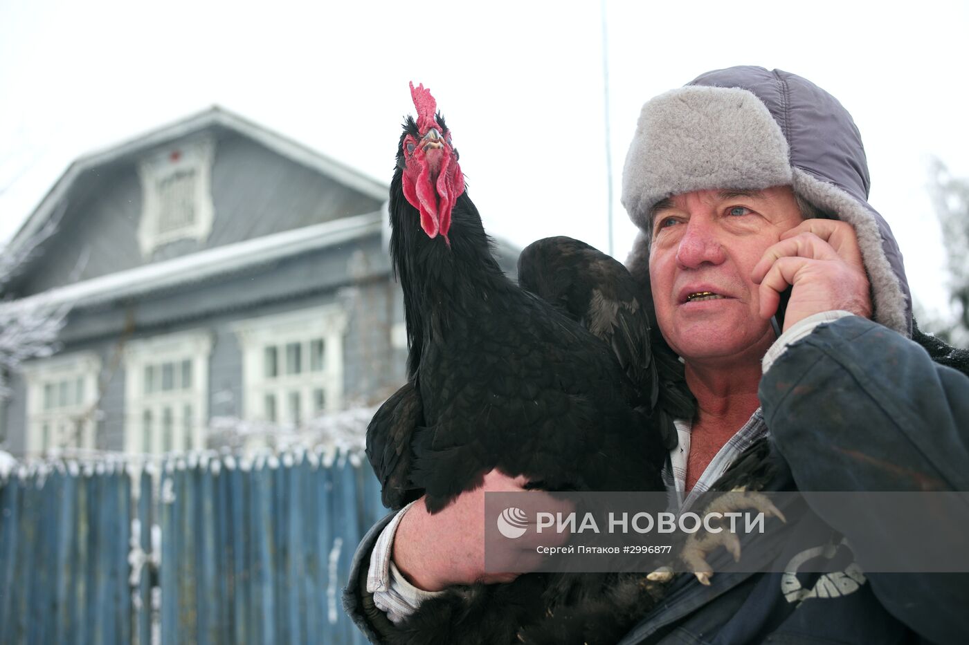 Музей Петуха в Петушках