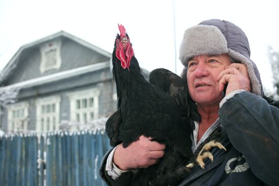 Музей Петуха в Петушках