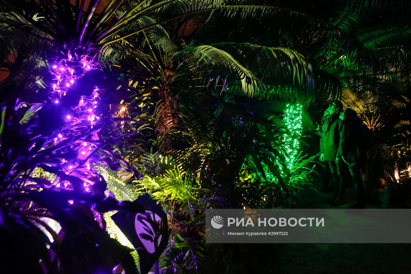 Фестиваль "Сад чудес" в Санкт-Петербурге