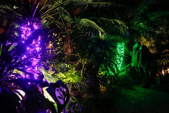 Фестиваль "Сад чудес" в Санкт-Петербурге