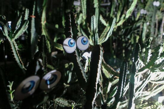 Фестиваль "Сад чудес" в Санкт-Петербурге