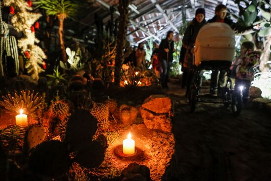 Фестиваль "Сад чудес" в Санкт-Петербурге