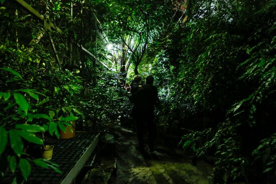 Фестиваль "Сад чудес" в Санкт-Петербурге