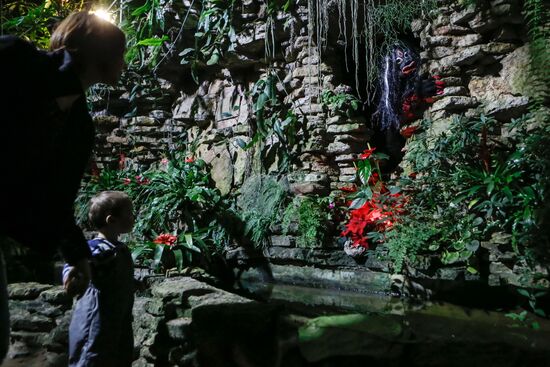 Фестиваль "Сад чудес" в Санкт-Петербурге