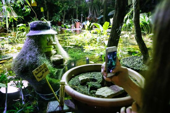 Фестиваль "Сад чудес" в Санкт-Петербурге