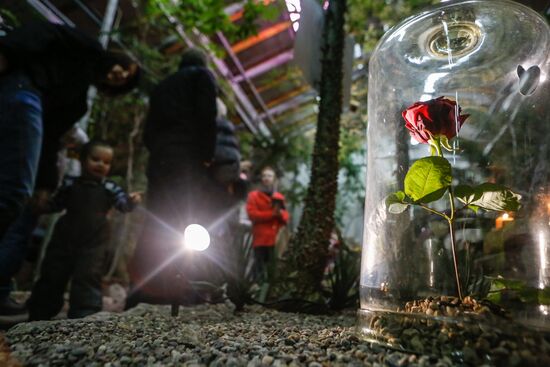 Фестиваль "Сад чудес" в Санкт-Петербурге