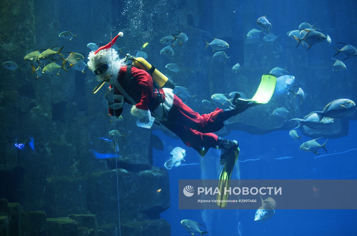 Человек в костюме Санта Клауса приветствует посетителей аквариума в Париже