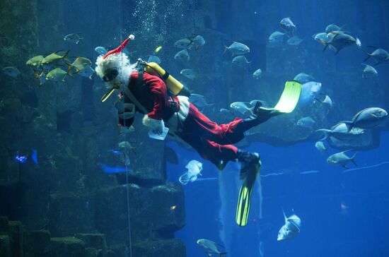 Человек в костюме Санта Клауса приветствует посетителей аквариума в Париже