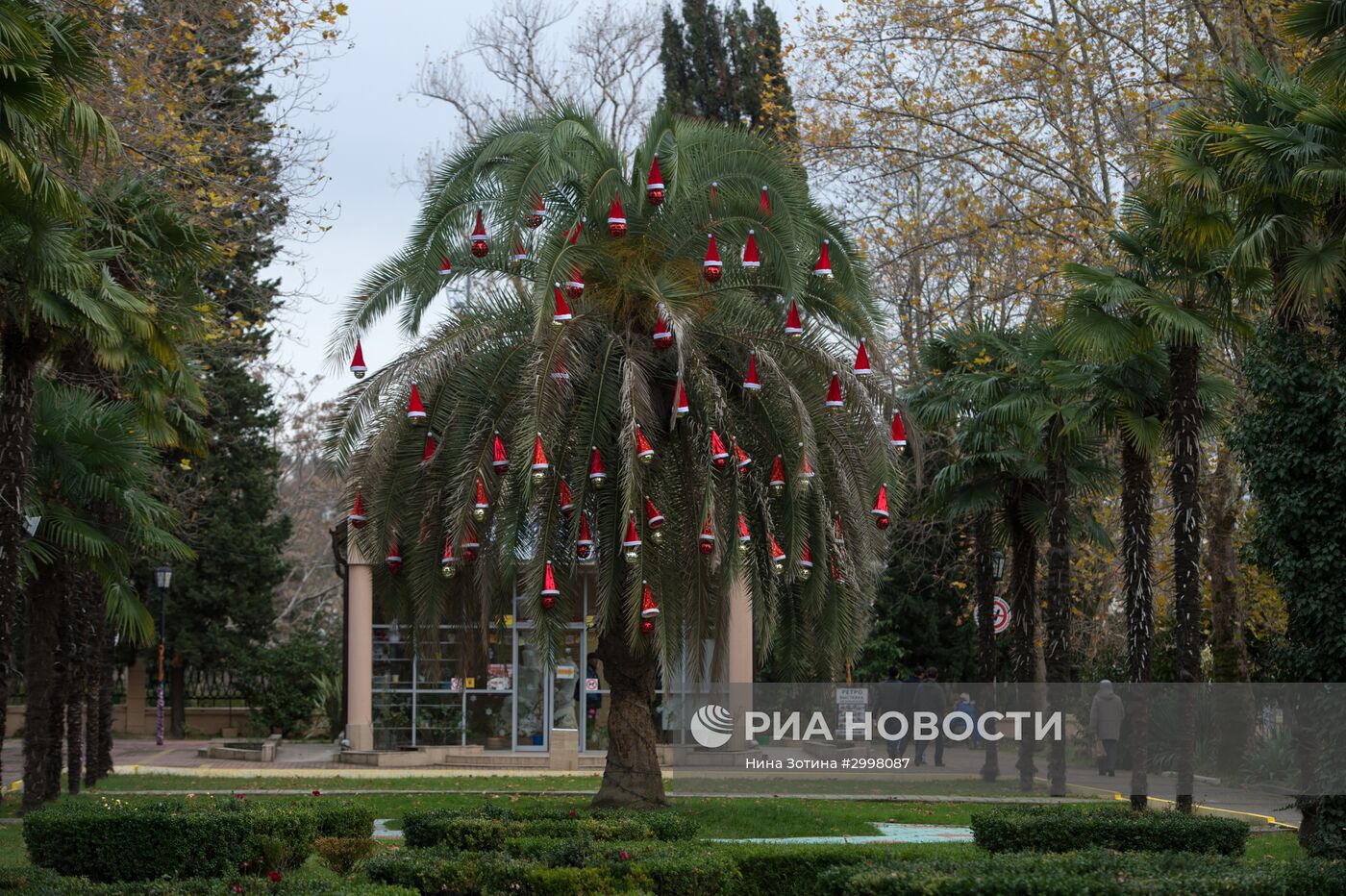 Новогоднее убранство в Сочи