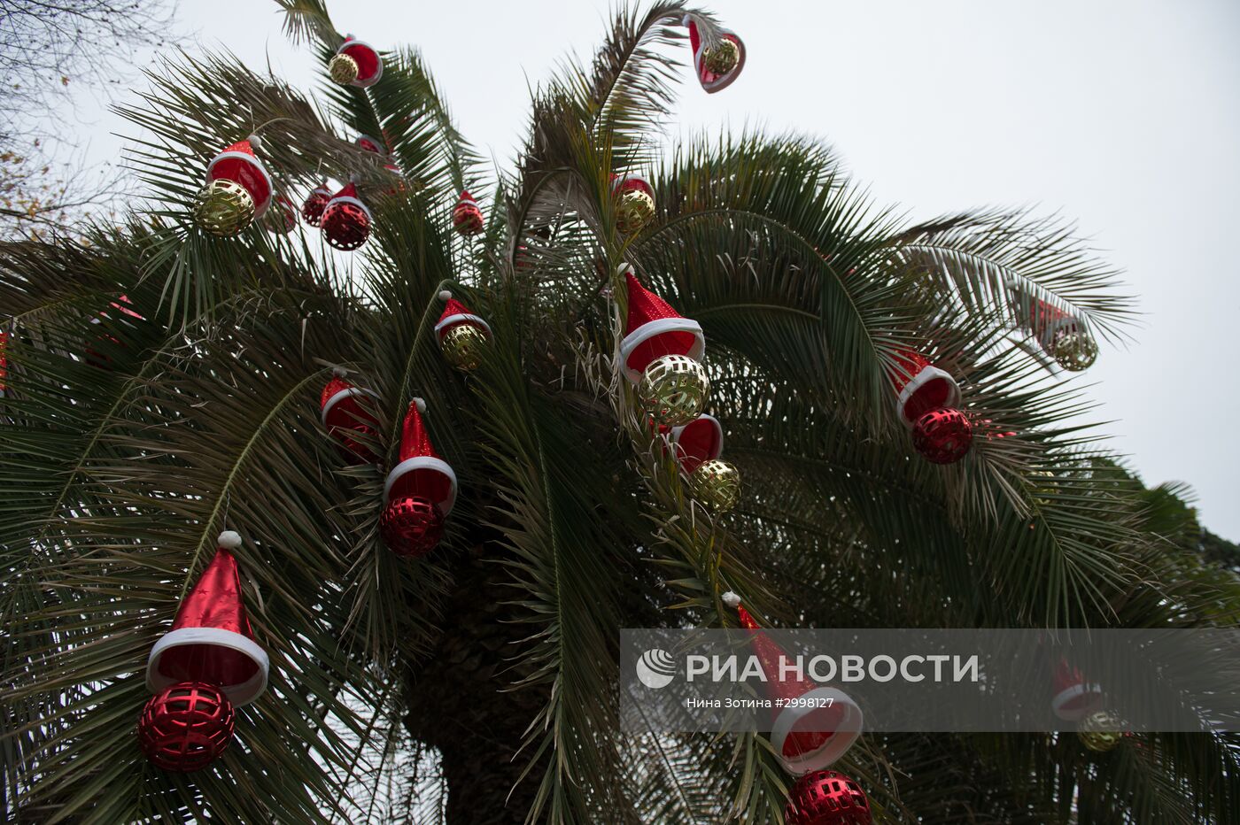 Новогоднее убранство в Сочи