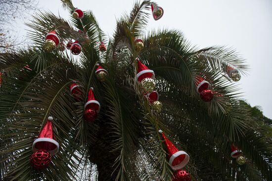 Новогоднее убранство в Сочи