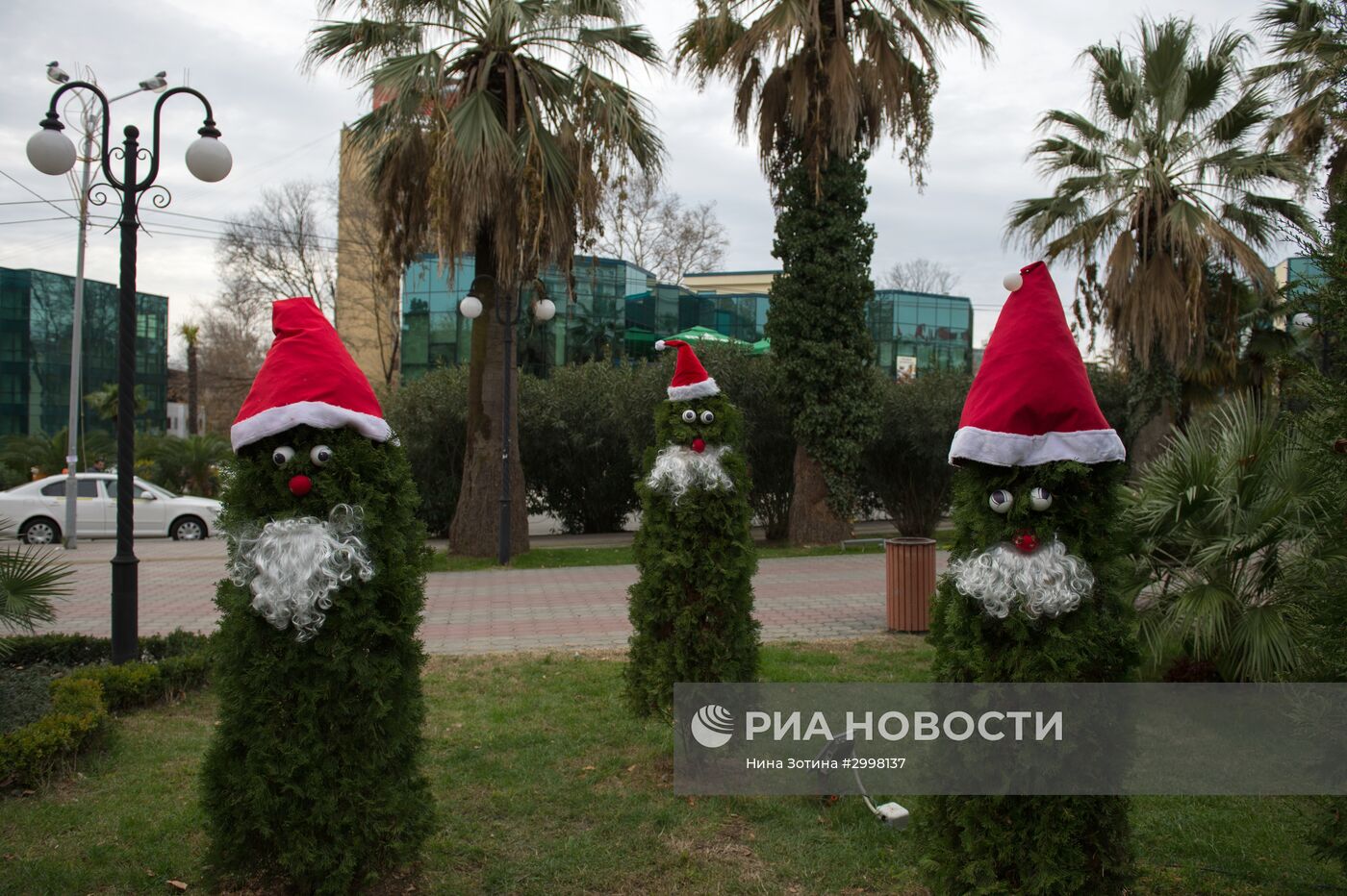 Новогоднее убранство в Сочи