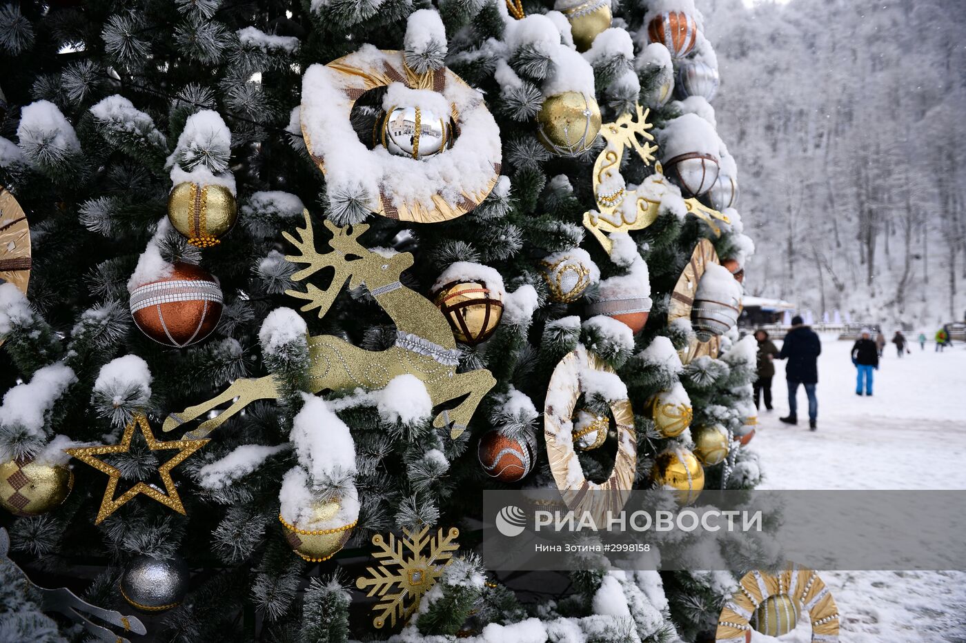 Новогоднее убранство в Сочи