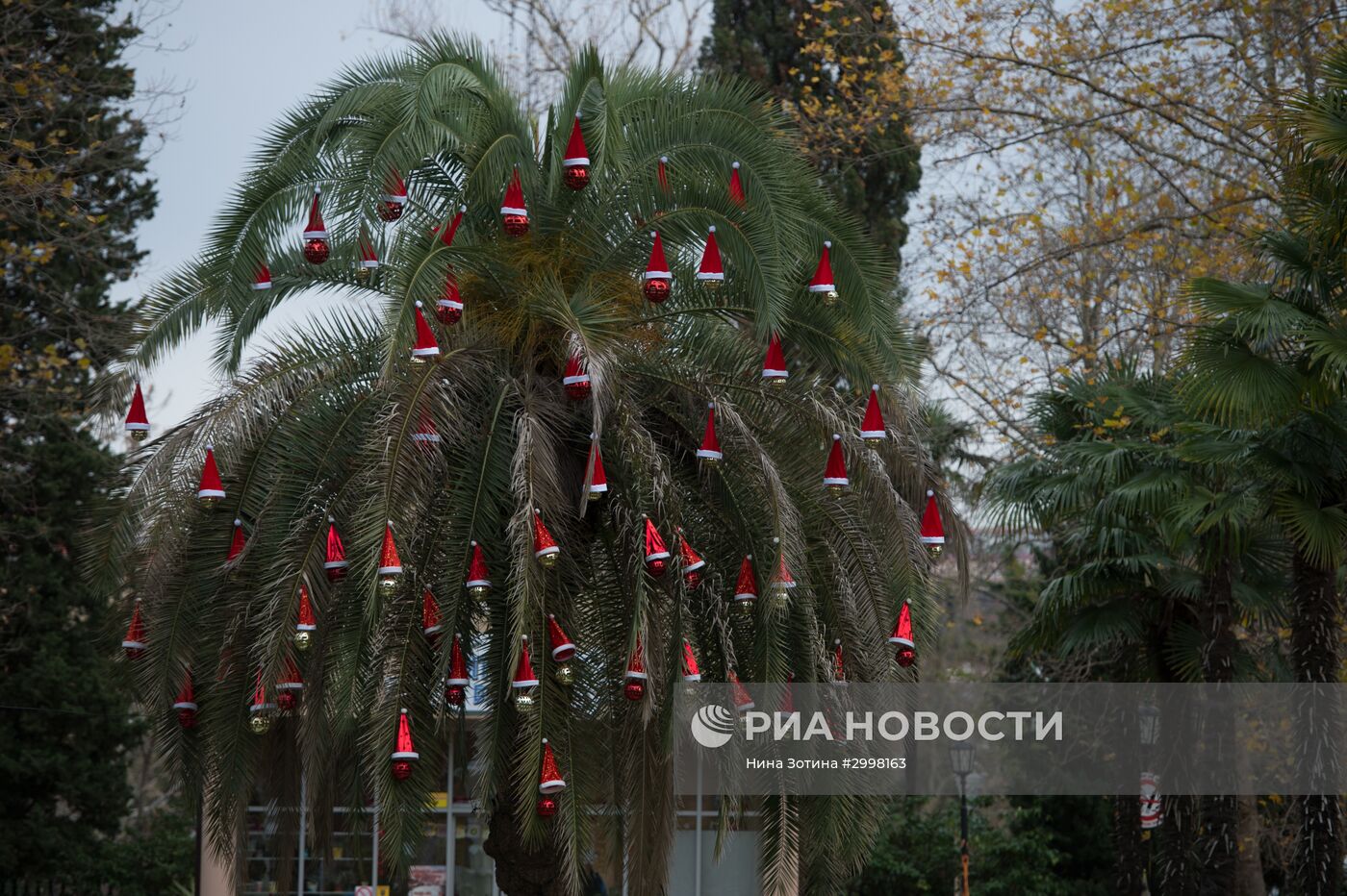 Новогоднее убранство в Сочи