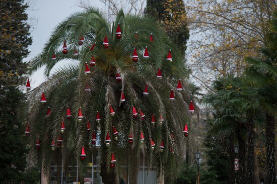 Новогоднее убранство в Сочи
