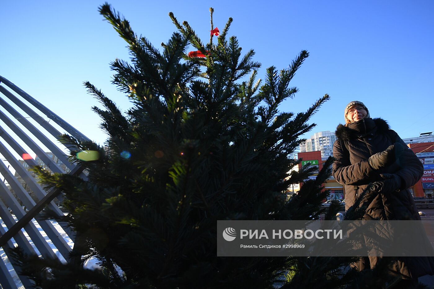 Ёлочные базары в Москве