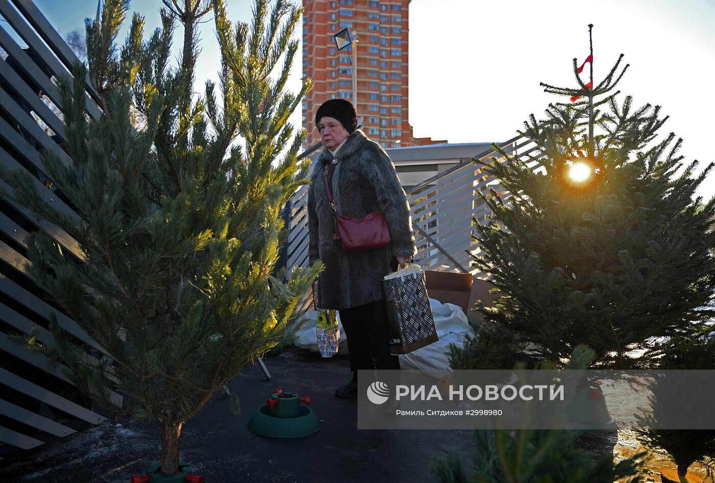 Ёлочные базары в Москве