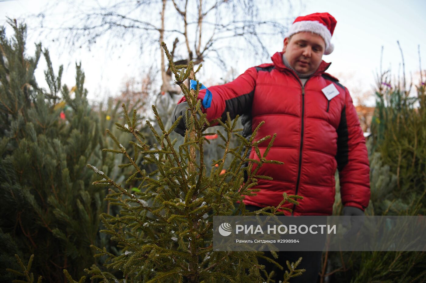 Ёлочные базары в Москве