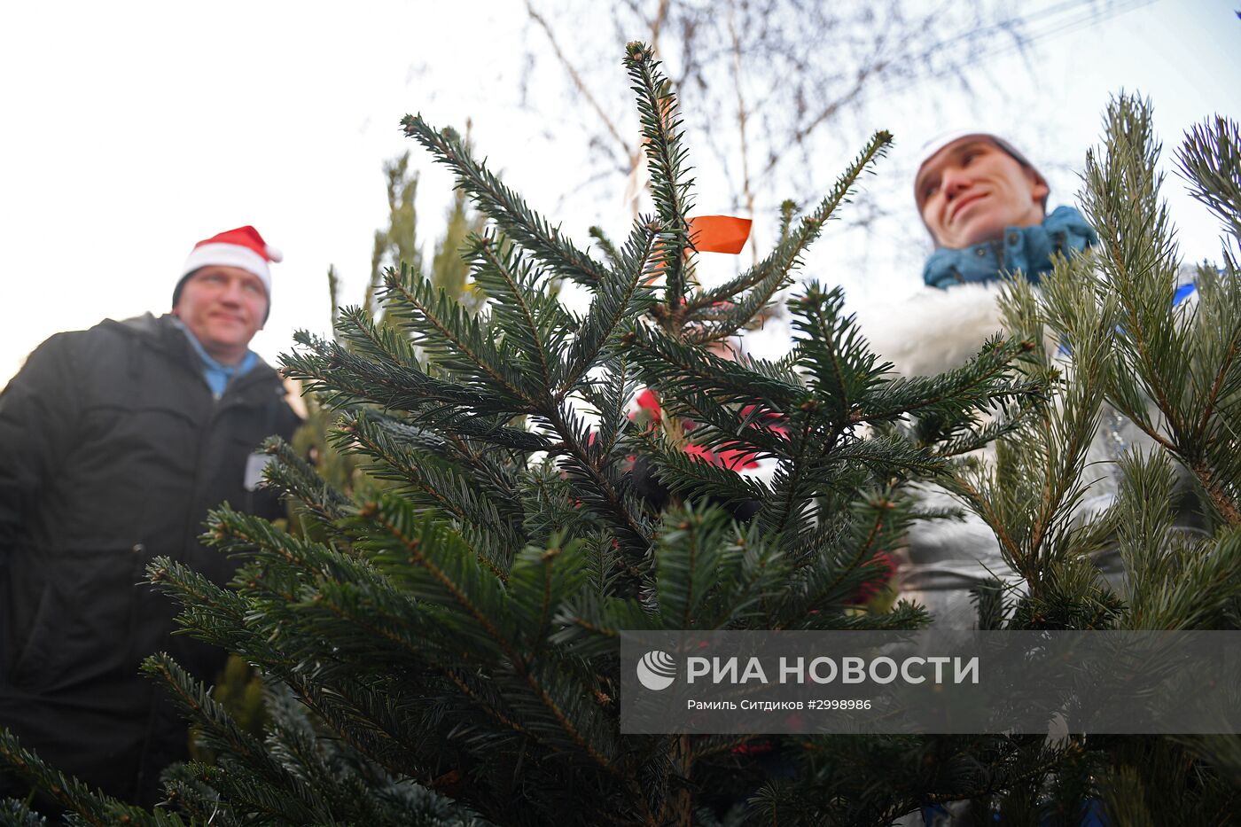 Ёлочные базары в Москве