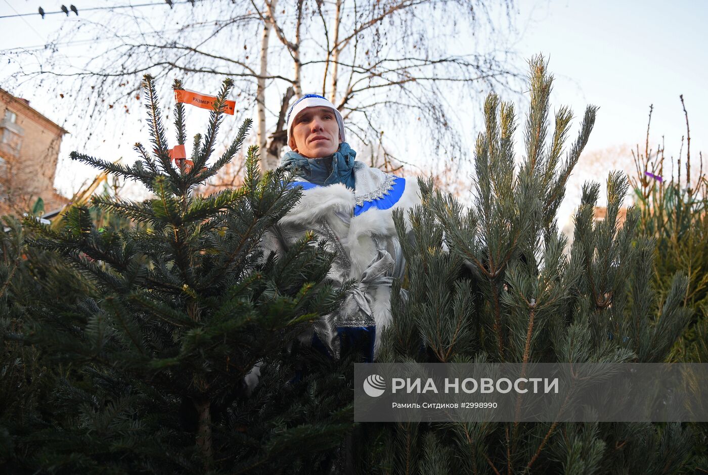 Ёлочные базары в Москве