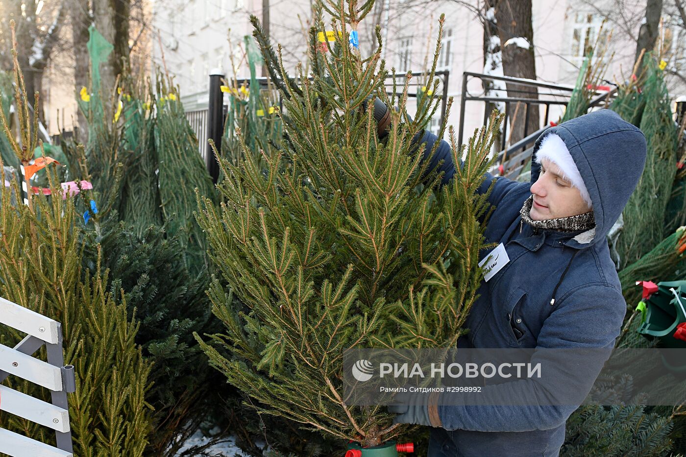 Ёлочные базары в Москве