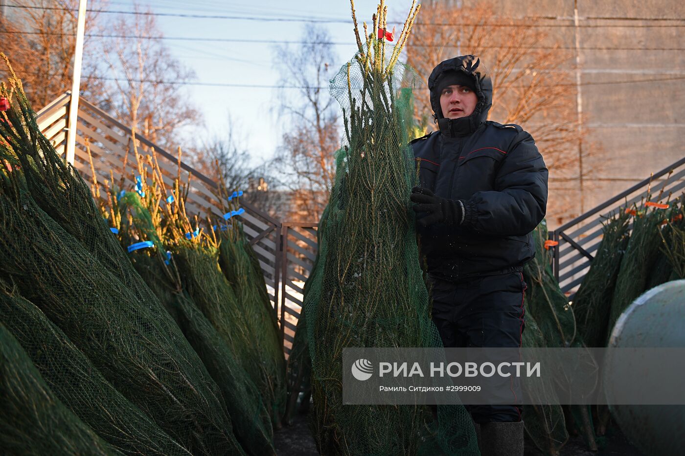 Ёлочные базары в Москве