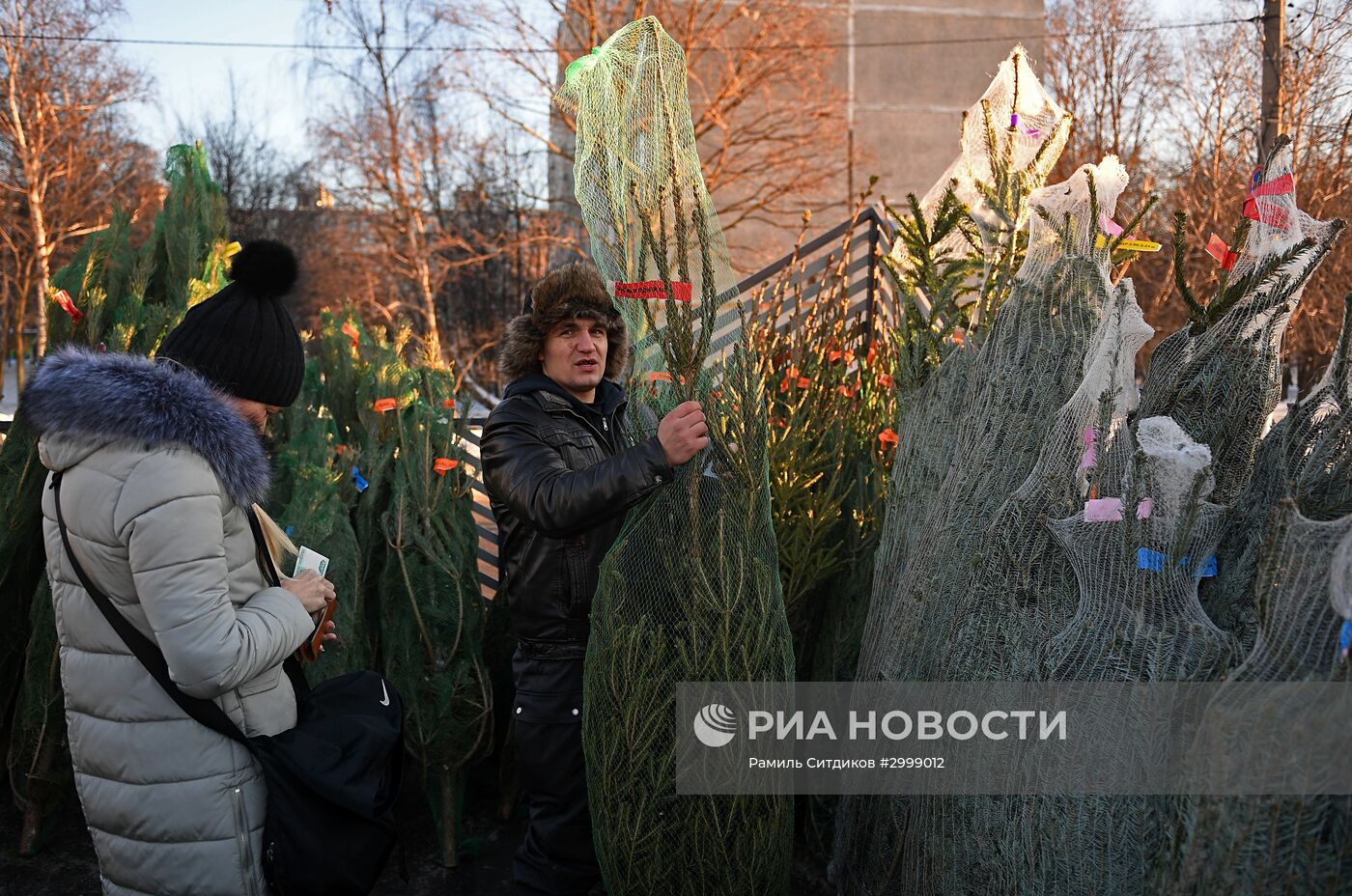 Ёлочные базары в Москве