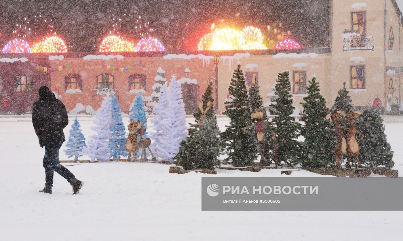 Снегопад во Владивостоке