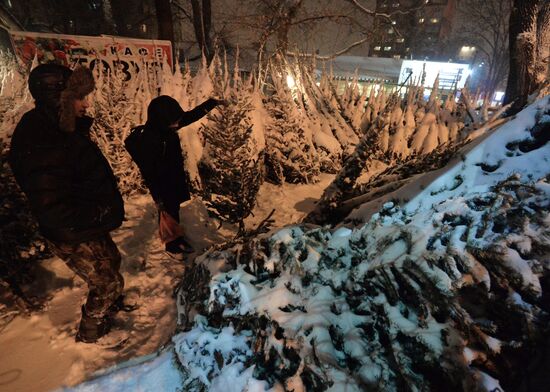 Снегопад во Владивостоке