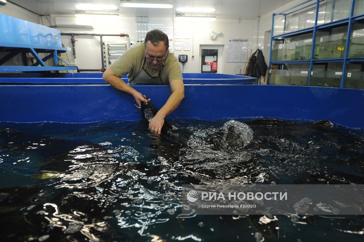 Комплекс рыбоводства и аквакультуры в Ростовской области