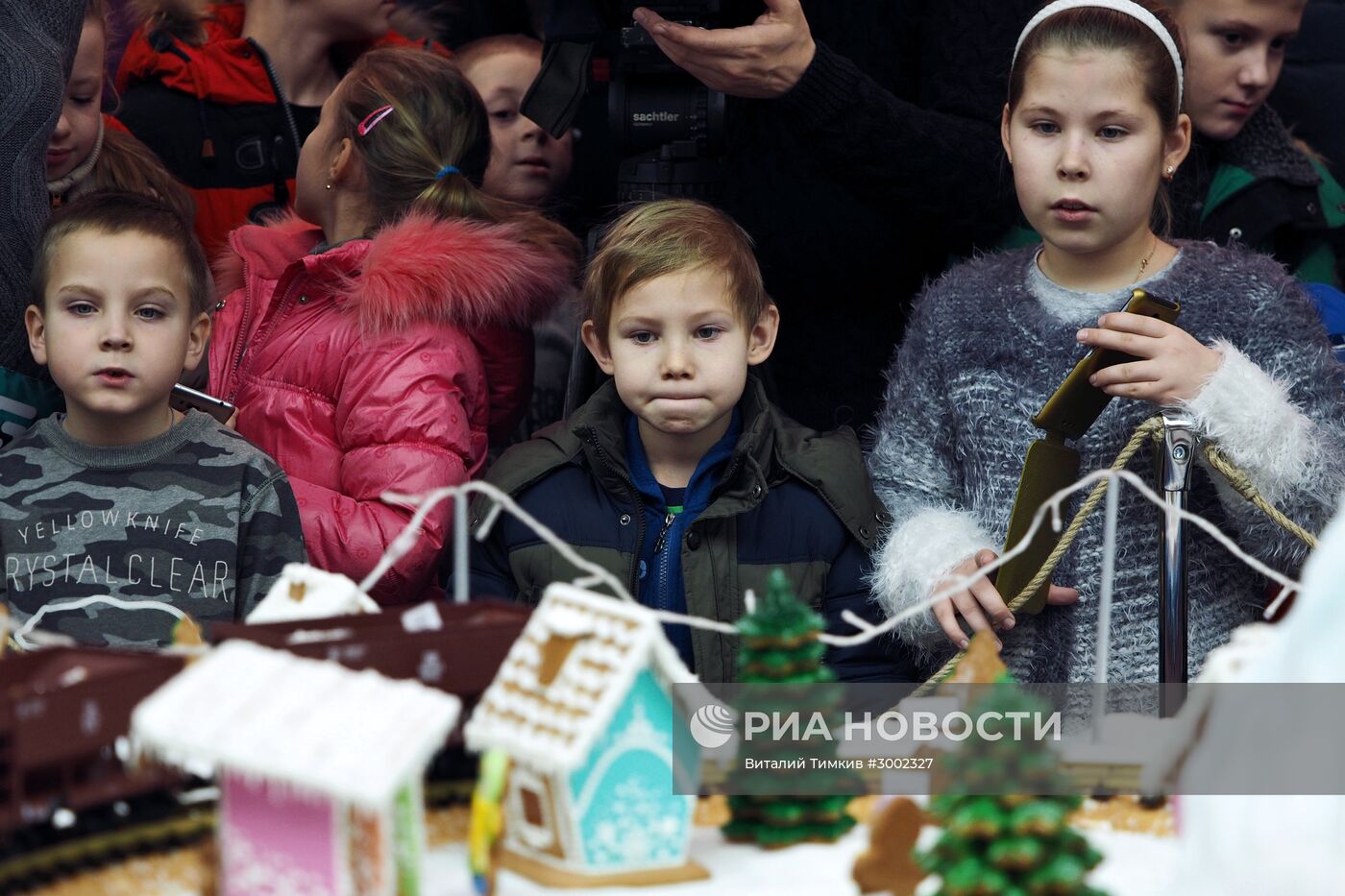 Краснодарские кондитеры изготовили самую большую в стране пряничную деревню