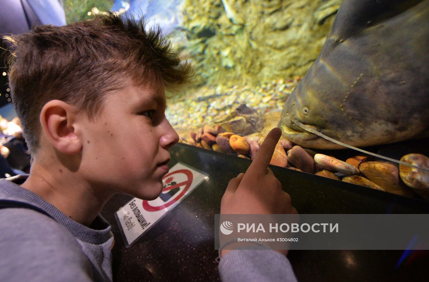 Приморский океанариум во Владивостоке