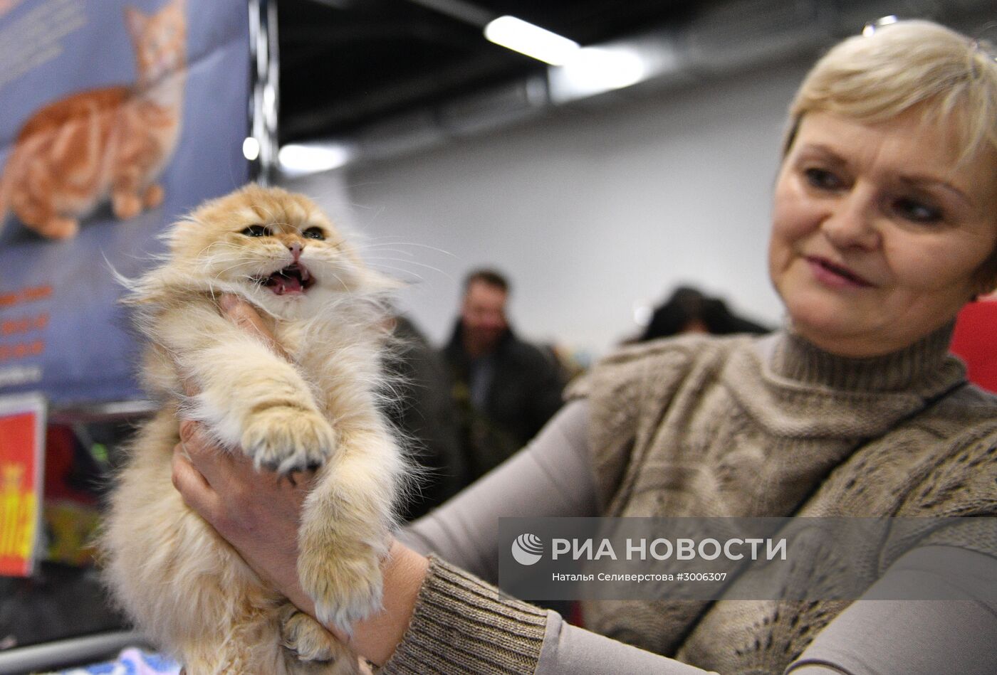 Выставка котят "КоШарики Шоу" в Москве