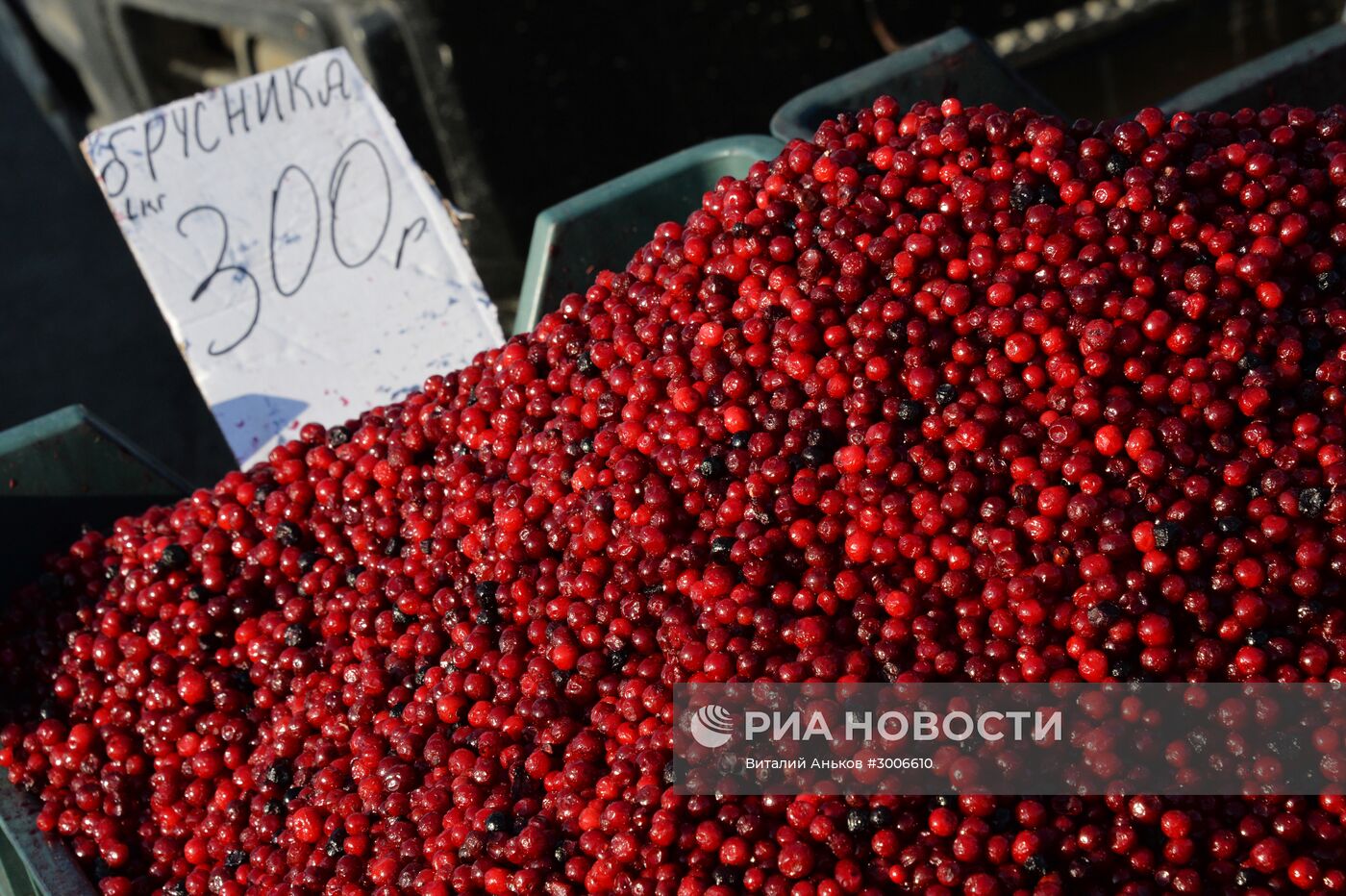 Продовольственная рождественская ярмарка во Владивостоке