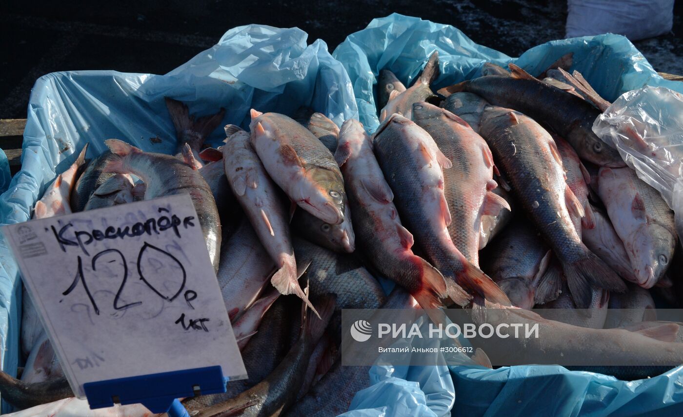 Продовольственная рождественская ярмарка во Владивостоке