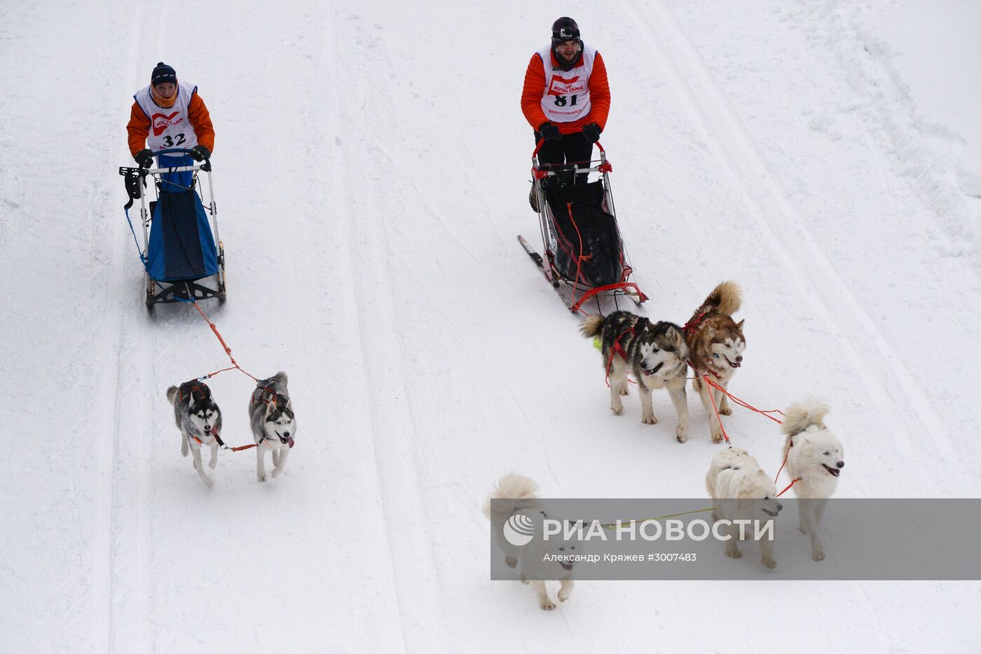 Соревнования по ездовому спорту "Рождественский заезд - 2017" в Новосибирской области
