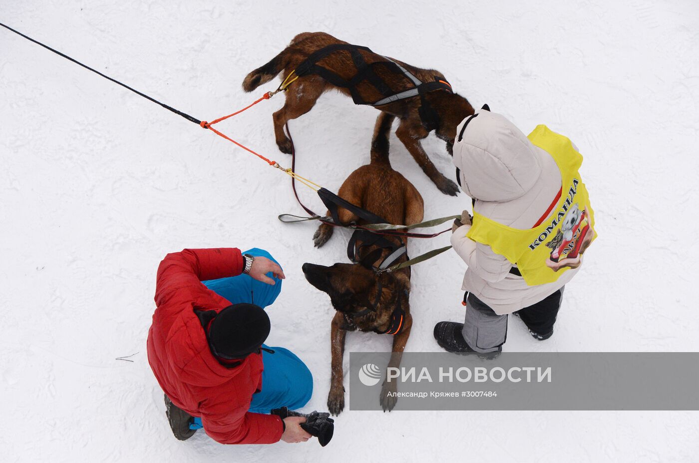 Соревнования по ездовому спорту "Рождественский заезд - 2017" в Новосибирской области