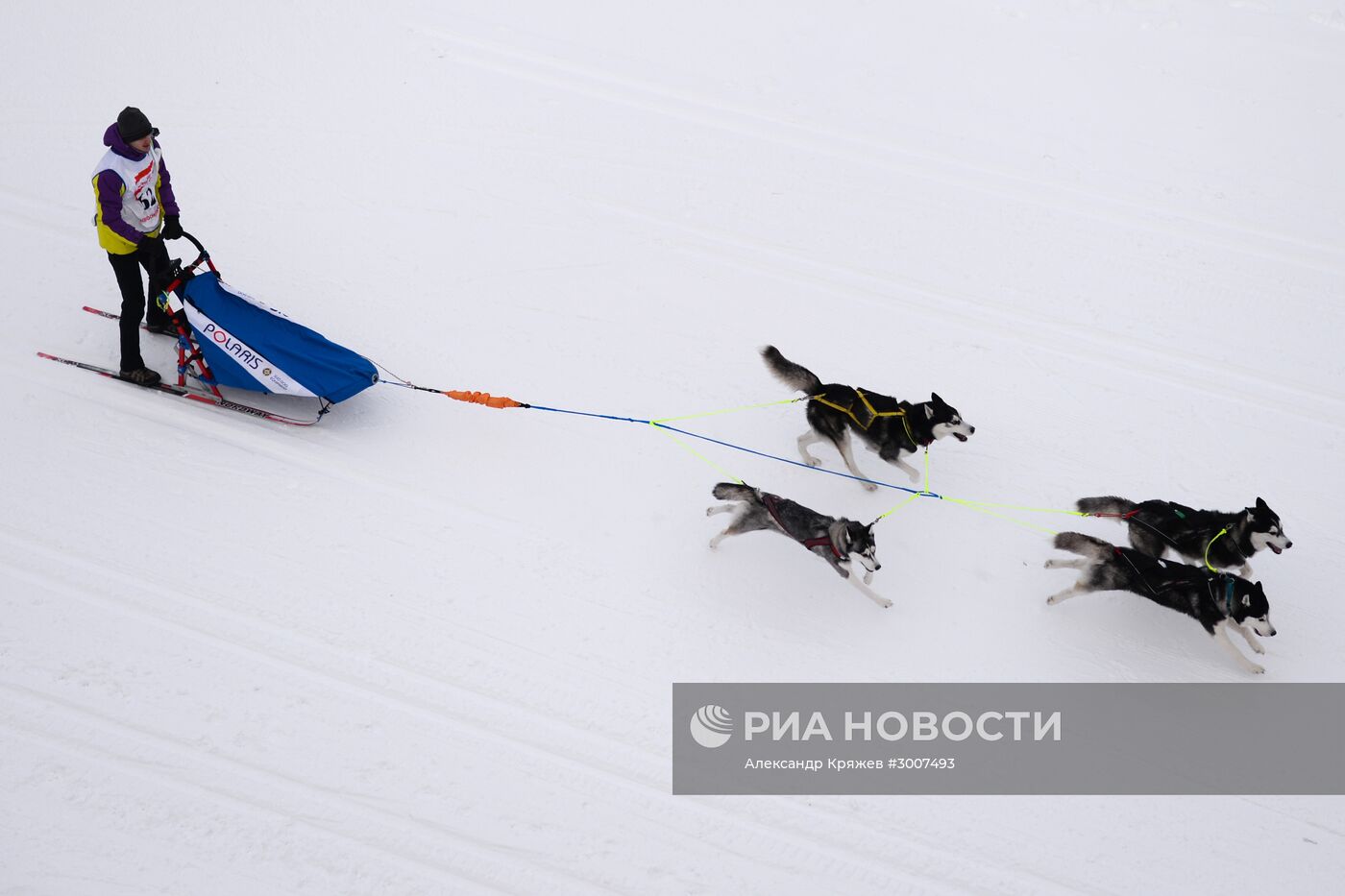 Соревнования по ездовому спорту "Рождественский заезд - 2017" в Новосибирской области