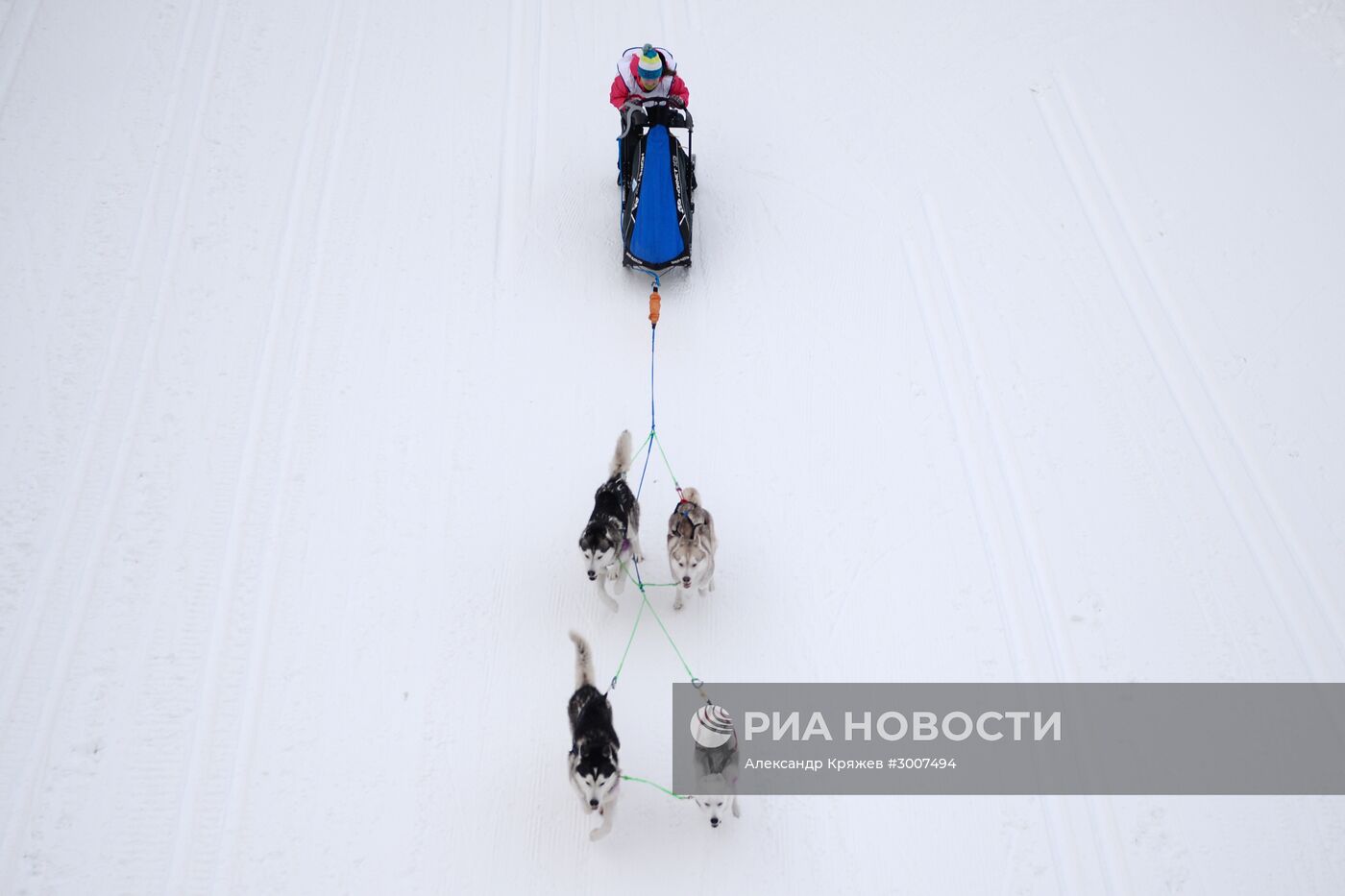 Соревнования по ездовому спорту "Рождественский заезд - 2017" в Новосибирской области