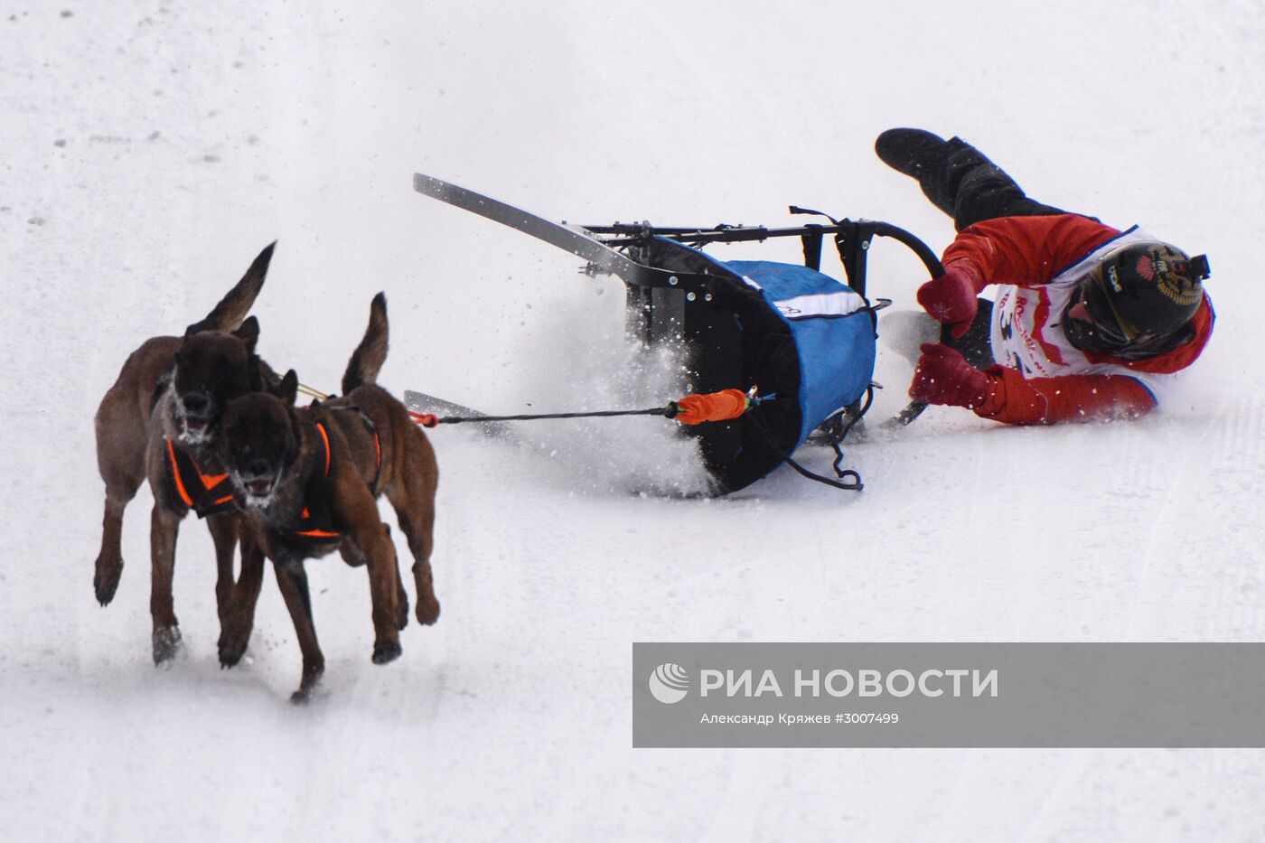 Соревнования по ездовому спорту "Рождественский заезд - 2017" в Новосибирской области