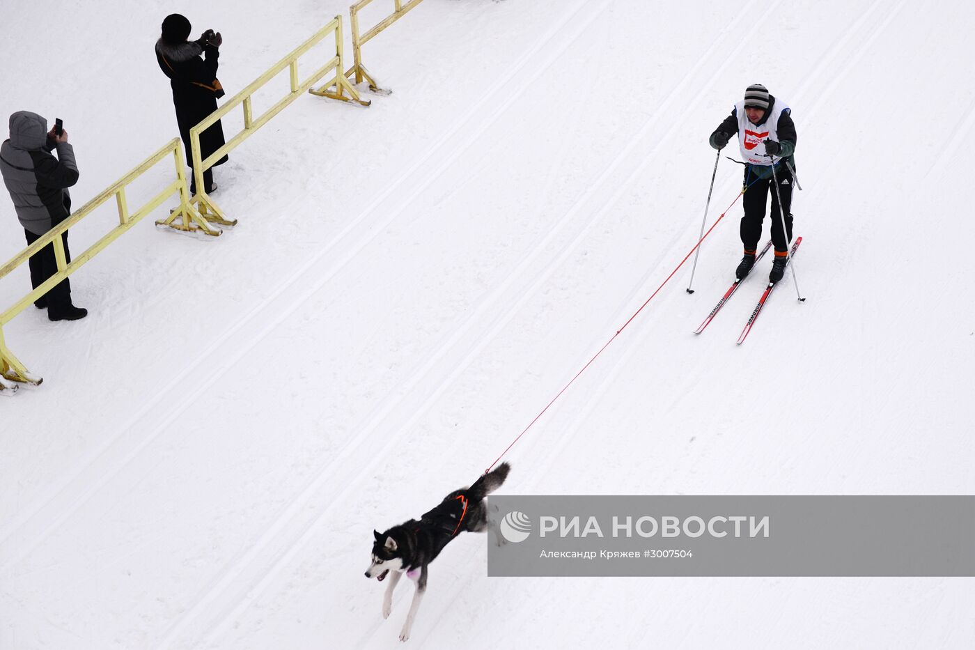 Соревнования по ездовому спорту "Рождественский заезд - 2017" в Новосибирской области