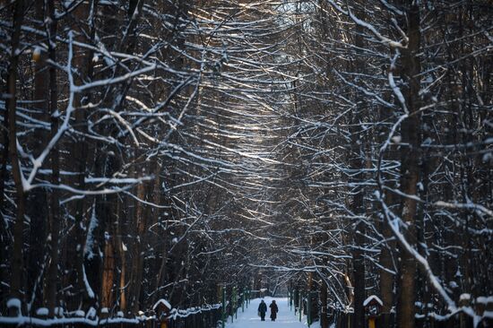 Морозы в Москве