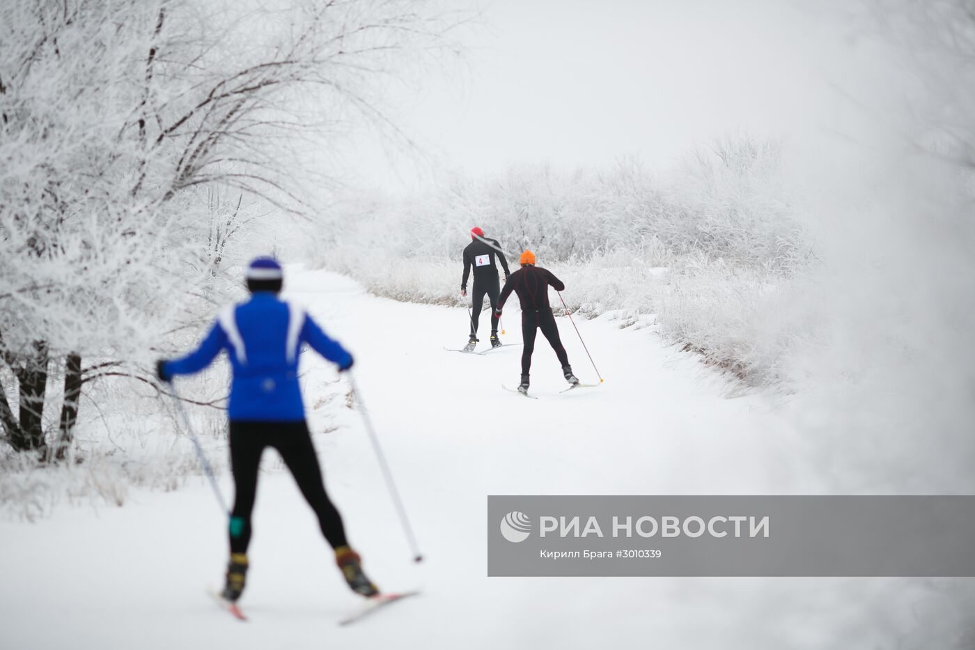 Всероссийский день снега в Волгограде