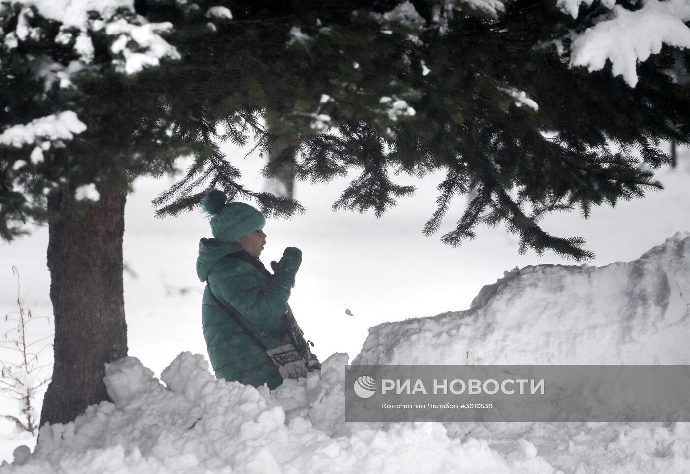 Зима в Великом Новгороде