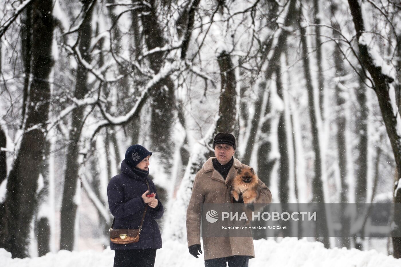 Зима в Великом Новгороде