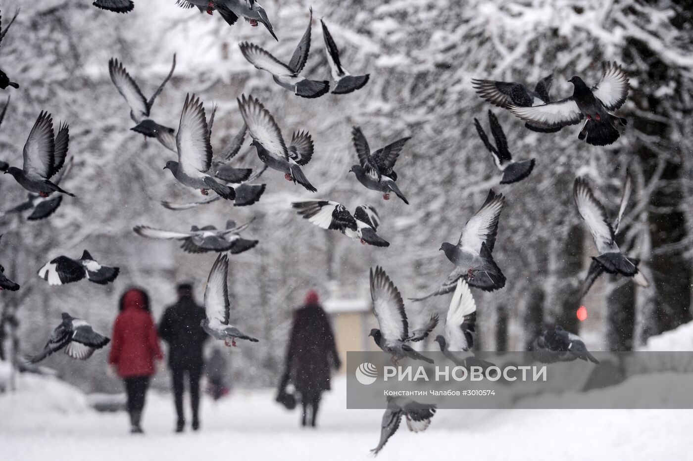 Зима в Великом Новгороде