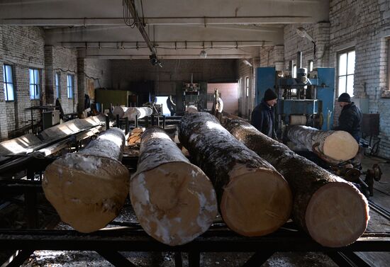 Заготовка древесины в Челябинской области