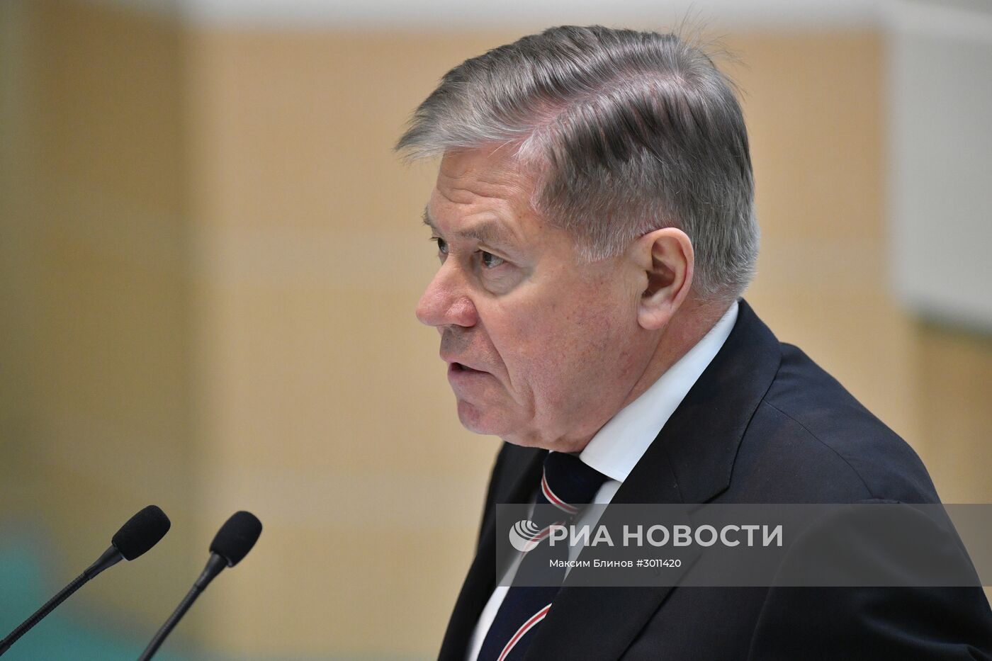 Заседание Совета Федерации РФ