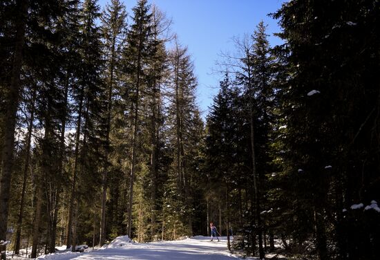 Биатлон. VI этап Кубка мира. Тренировки